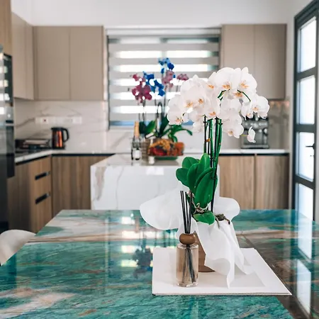 Vila Tg New Luxury Private & - Heated Salty Swimming Pool, Outdoor Jacuzzi, Sauna, Exotic Garden Lemesos