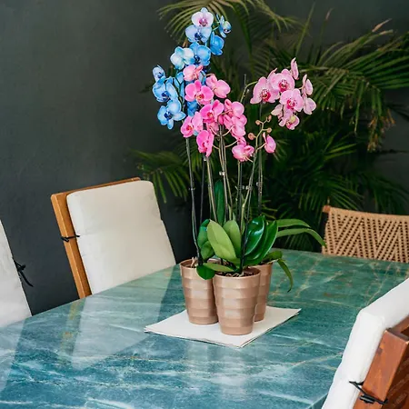 Tg New Luxury Private & - Heated Salty Swimming Pool, Outdoor Jacuzzi, Sauna, Exotic Garden 别墅 利马索尔