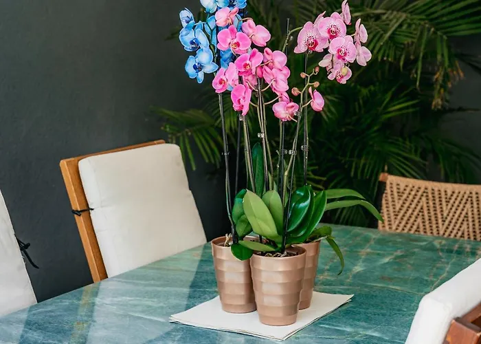 Tg New Luxury Private & - Heated Salty Swimming Pool, Outdoor Jacuzzi, Sauna, Exotic Garden ヴィラ リマソール