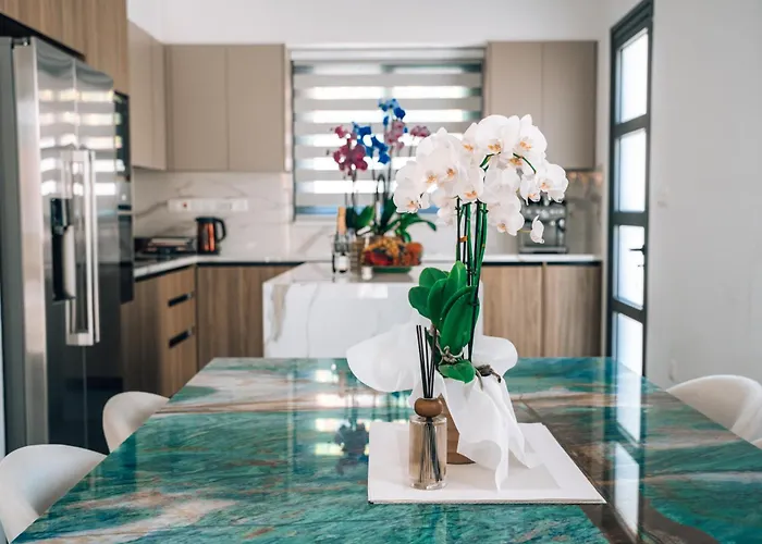 Villa Tg New Luxury Private & - Heated Salty Swimming Pool, Outdoor Jacuzzi, Sauna, Exotic Garden Limasol